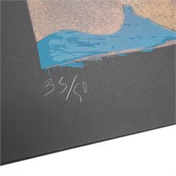 Ivor Abrahams (British 1935-2015): 'Vahine I & II', pair screenprint signed dated '77 and numbered first stage proof and 35/50 in pencil 107cm x 80cm (2) (unframed)