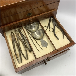  Dentistry - Late Victorian mahogany Dentists cabinet by C. Ash & Co, hinged cover above six long graduated drawers, enclosing a comprehensive arrangement of implements, pharmaceutical bottles, tools, modelling wax, porcelain teeth, 