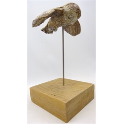  Peter Hough (British Contemporary) model of a barn owl in flight, mounted on rustic wooden square plinth, H49cm overall  