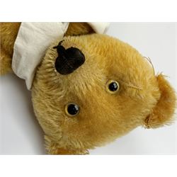 Schuco 'yes-no' teddy bear c1925 with wood wool filled short golden mohair body, linen pads with stitched claws and  tail-operated moving head with glass eyes and vertically stitched nose and mouth H18