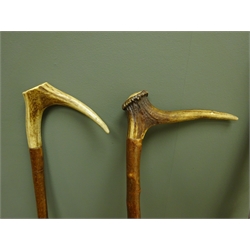  Two thorn walking sticks with Stag horn handles and an Alpine walking stick, L130cm max (3)  