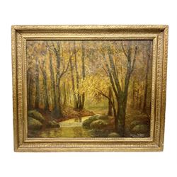 Oscar Witton (British 19th/20th century): Woodland River, oil on canvas signed 47cm x 59cm