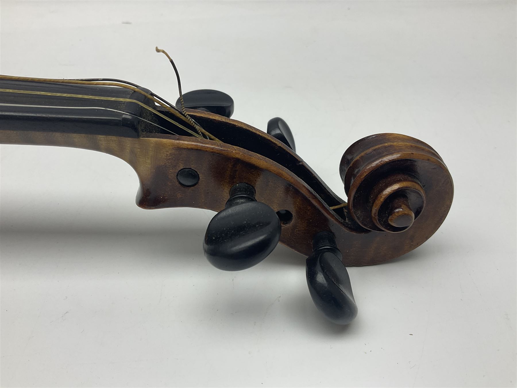 German trade violin c1900 with 35.5cm two-piece maple back and spruce top; bears label 'Made in Germany Apollo Class 6 No.2132' L59cm; in carrying case with two bows