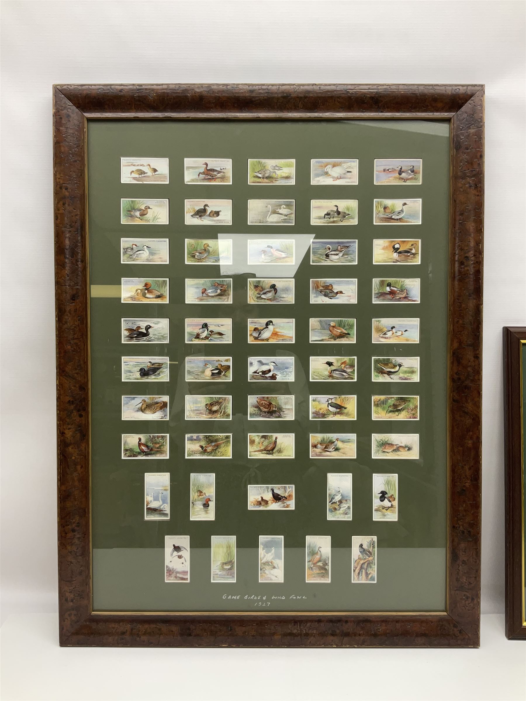 Four mounted and framed sets of cigarette cards comprising Players Game Birds & Wild Fowl; Ogdens British Birds & Their Eggs; Wills Dogs; and reproduction Players Peter Scott's Wildfowl; various frames (4)
