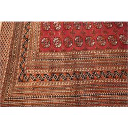 Large Afghan Bokhara crimson ground carpet, the field with rows of repeating Gul motifs and geometric design, enclosed by multiple repeating geometric guard bands