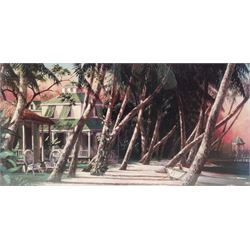 Floridian Villa, very large framed print 50cm x 100cm
