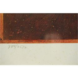 Craig Tennant (American 1946-): 'England's 1935 ERA R1B', lithograph in colours signed and numbered 234/2500 in pencil 35cm x 53cm