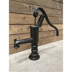 Small cast iron water pump