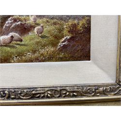 Walter J Watson (British 1879-c1937): 'On the Glaslyn - North Wales', oil on canvas signed, titled and further signed verso 19cm x 32cm  
Provenance: private collection; with James Alder Fine Art, Hexham