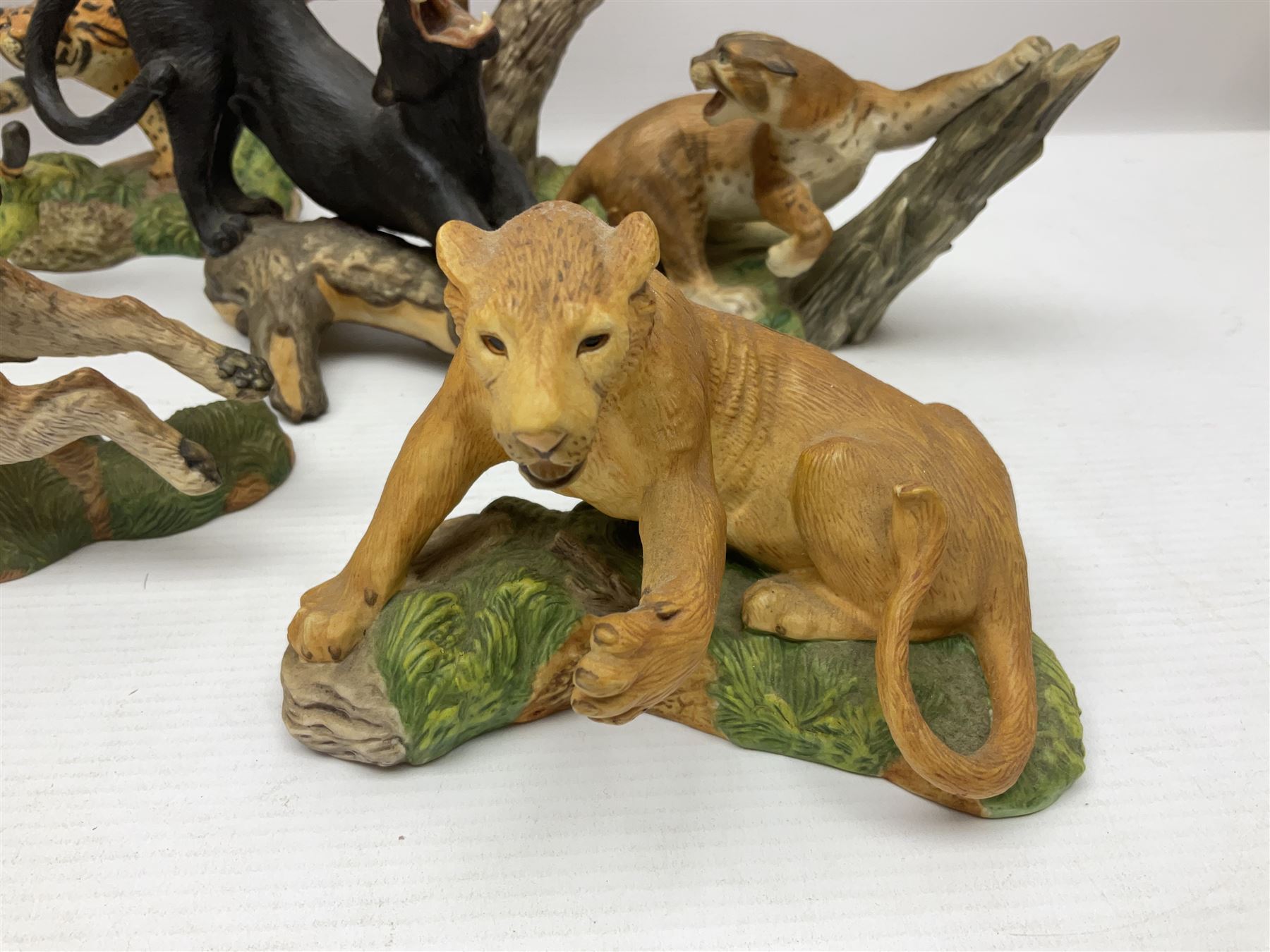 Ten Franklin Mint National wildlife Foundation Big Cats of the World figures to include, White Bengal Tiger, Jaguar, Cougar, Cheetah, Clouded Leopard etc, with display stand