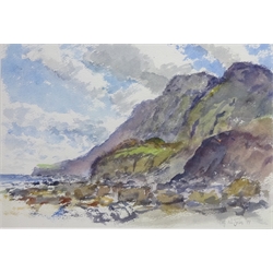  Ravenscar Cliffs from the Beach, watercolour signed and dated '99 by Neil Tyler (British 1945-) 18cm x 27cm  