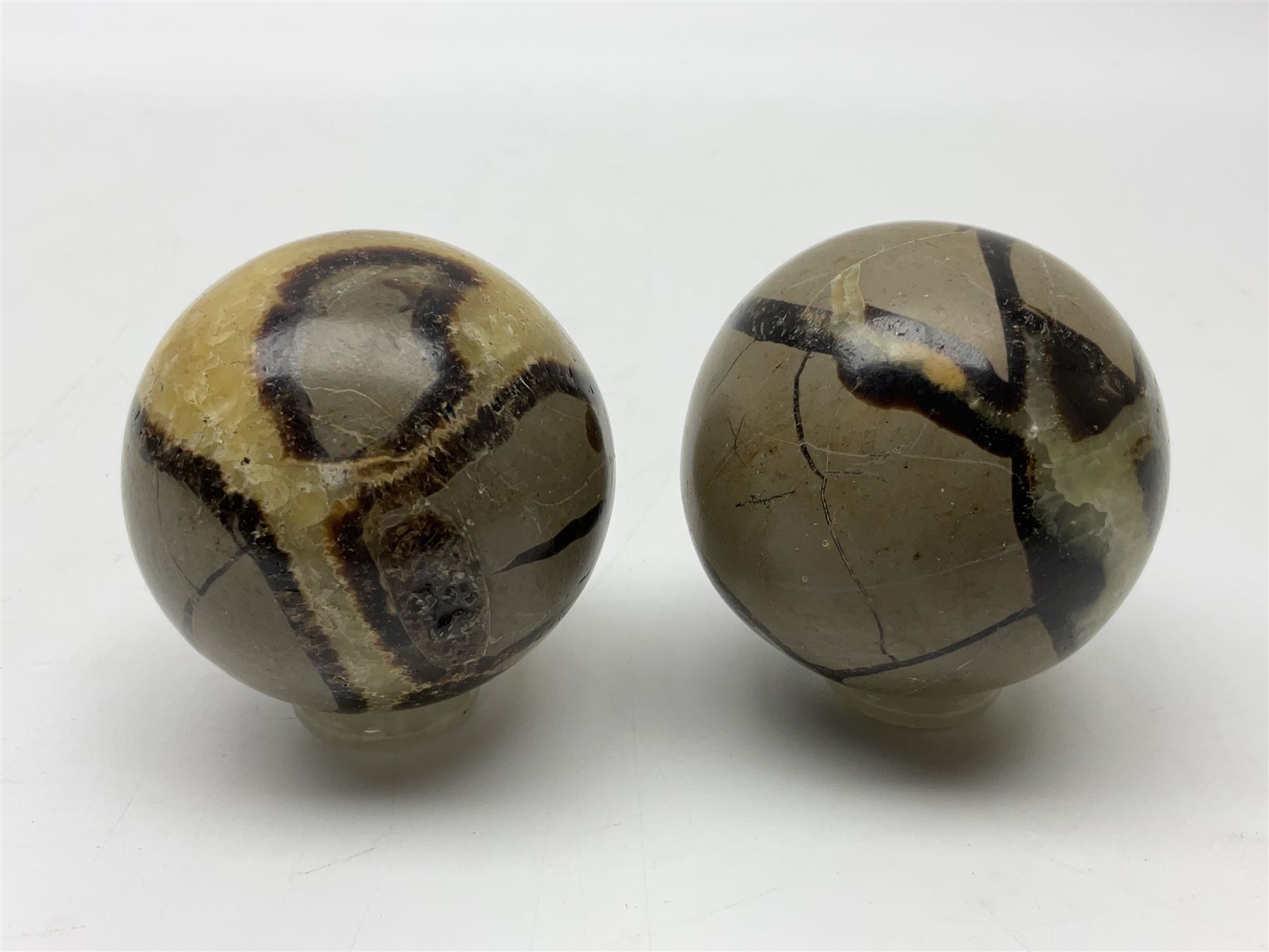 Pair of septarian spheres, polished, with a calcite centre and argonite/siderite lines within limestone rock, D6cm