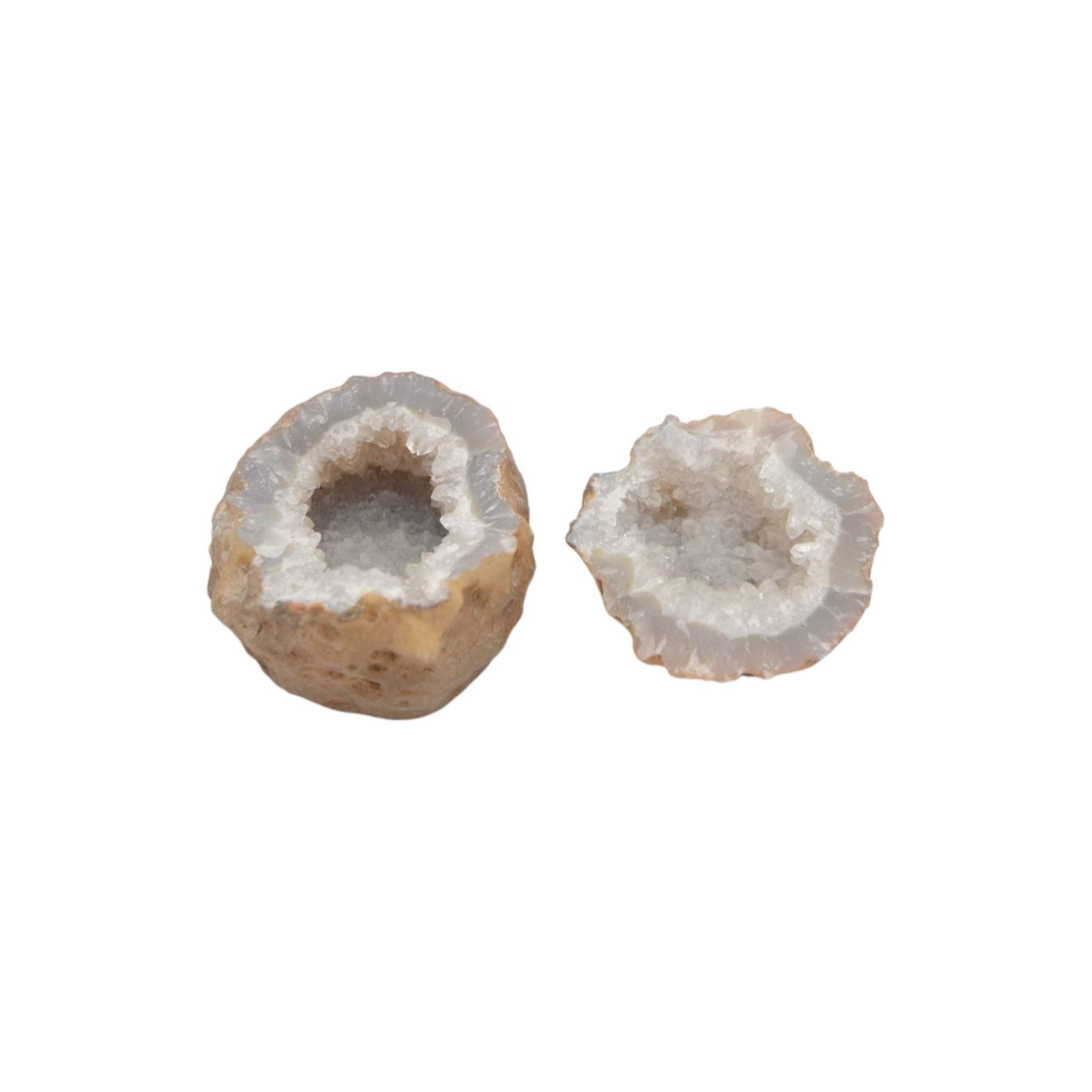 Collection of mineral and fossil specimens, including Trilobite in a matrix, shark tooth, ruby schist etc 