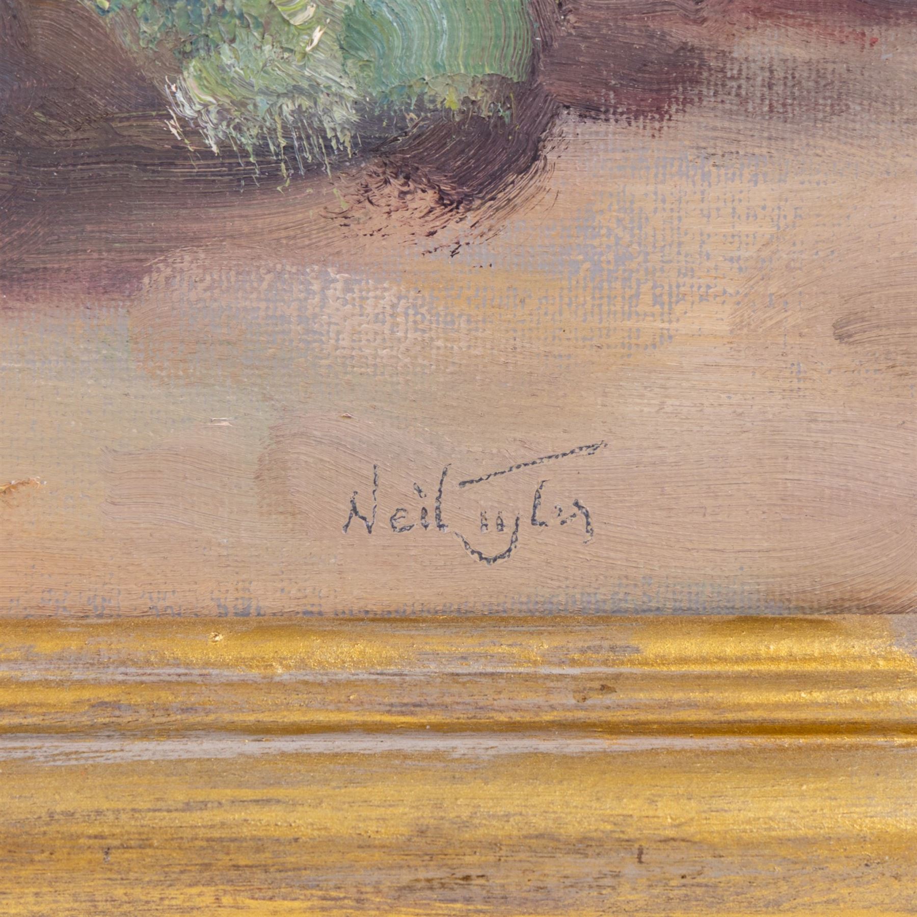 Neil Tyler (British 1945-): 'Brass Pan and Cabbage', oil on canvas signed, titled verso 40cm x 50cm 