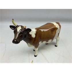 Five Beswick figures of cattle Comprising Ayrshire Bull Ch Whitehill Mandate, no 1454B, three Ayrshire Cow Ch Ickham Bessie, no 1350 and Ayrshire Calf, no 1249B, all with printed marks beneath