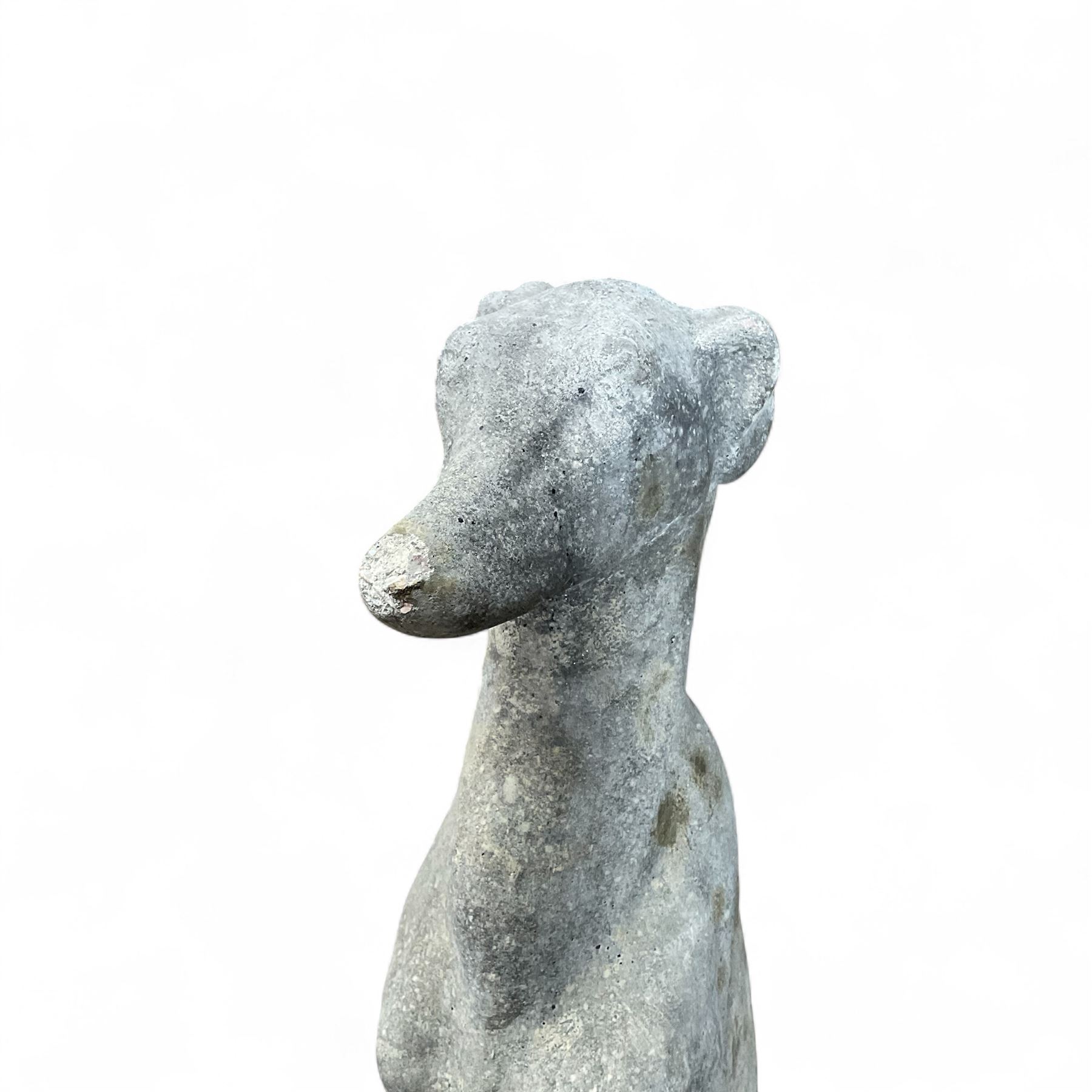 Pair of cast stone sitting greyhounds 