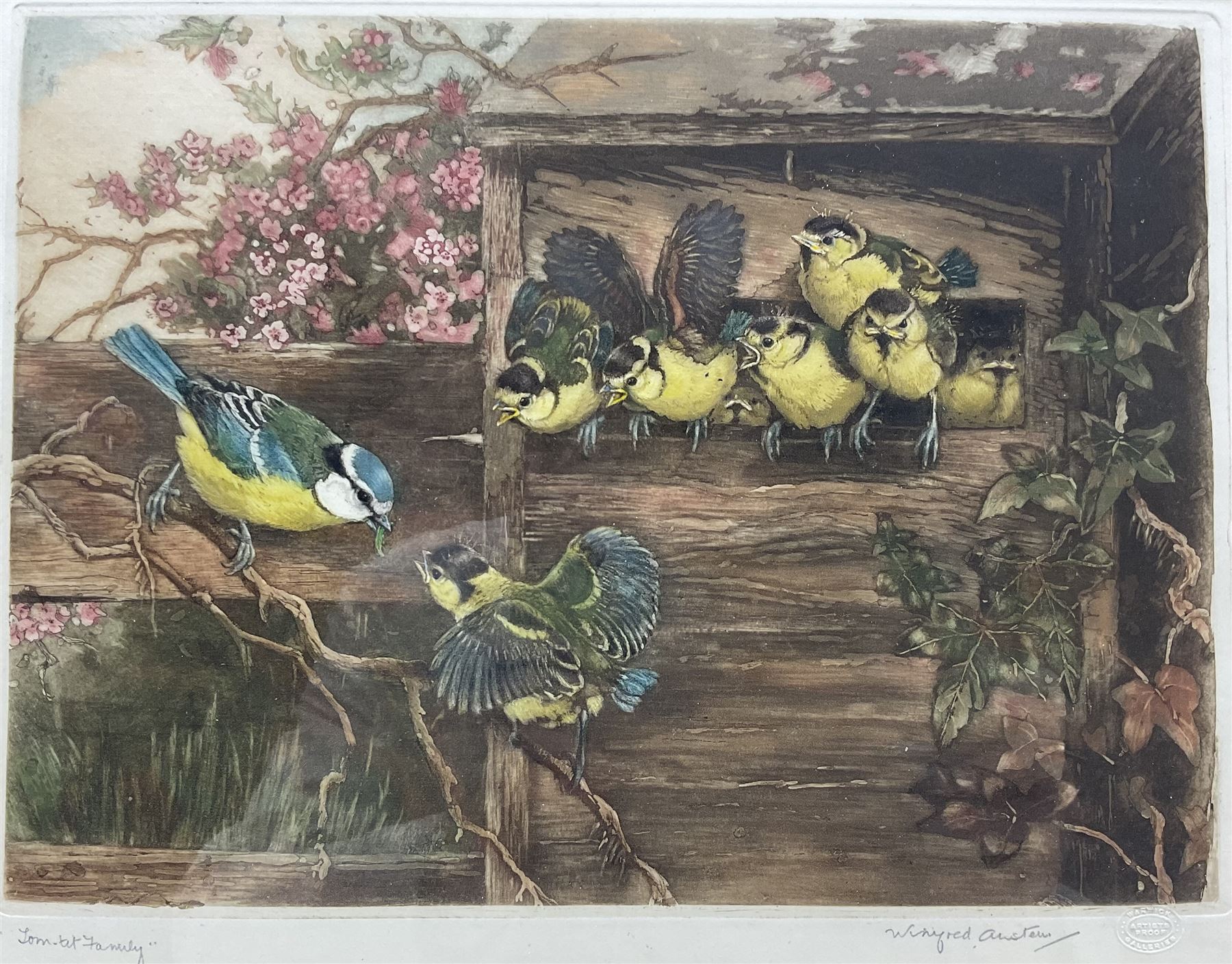Winifred Maria Louise Austen (British 1876-1964): 'Tom Tit Family', artist's proof coloured etching signed and titled in pencil, with Warwick Galleries blindstamp 22cm x 30cm