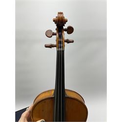 1920s continental large viola with 42cm two-piece maple back and ribs and wide grain sprucewood top with guarnerie sound holes, bears label 'Werner Alajos Budapest', overall length 69cm; in modern carrying case