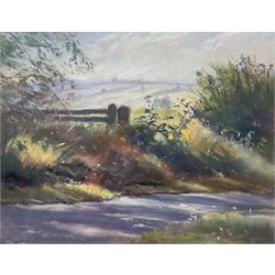 Jill Grinstead (Northern British Contemporary): Rural Landscape with Path and Gate, pastel signed 21cm x 27cm