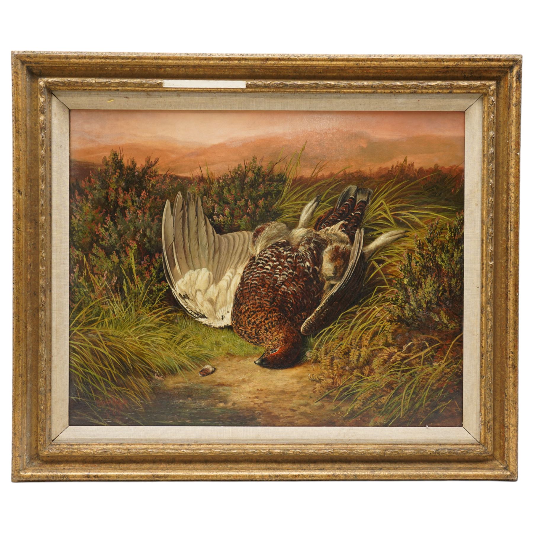 Benjamin Hold (British 1847-1917): Scottish Red Grouse, pair oils on canvas signed and dated 1898, 42cm x 52cm (2)