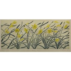 Rory McEwen (Scottish 1932-1982): 'Spring Wind' - Daffodils, coloured aquatint signed titled dated '78 and numbered 27/150 in pencil, with Christie's Contemporary Art blindstamp 24cm x 57cm