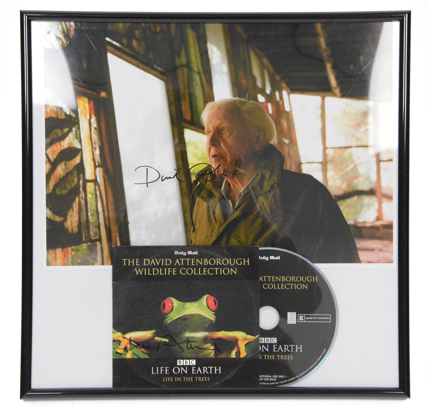 Signed David Attenborough photograph and a signed David Attenborough Life on Earth DVD sleeve, framed H32cm
