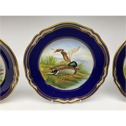 Four Spode Game Birds collectors cabinet plates, (one second example)