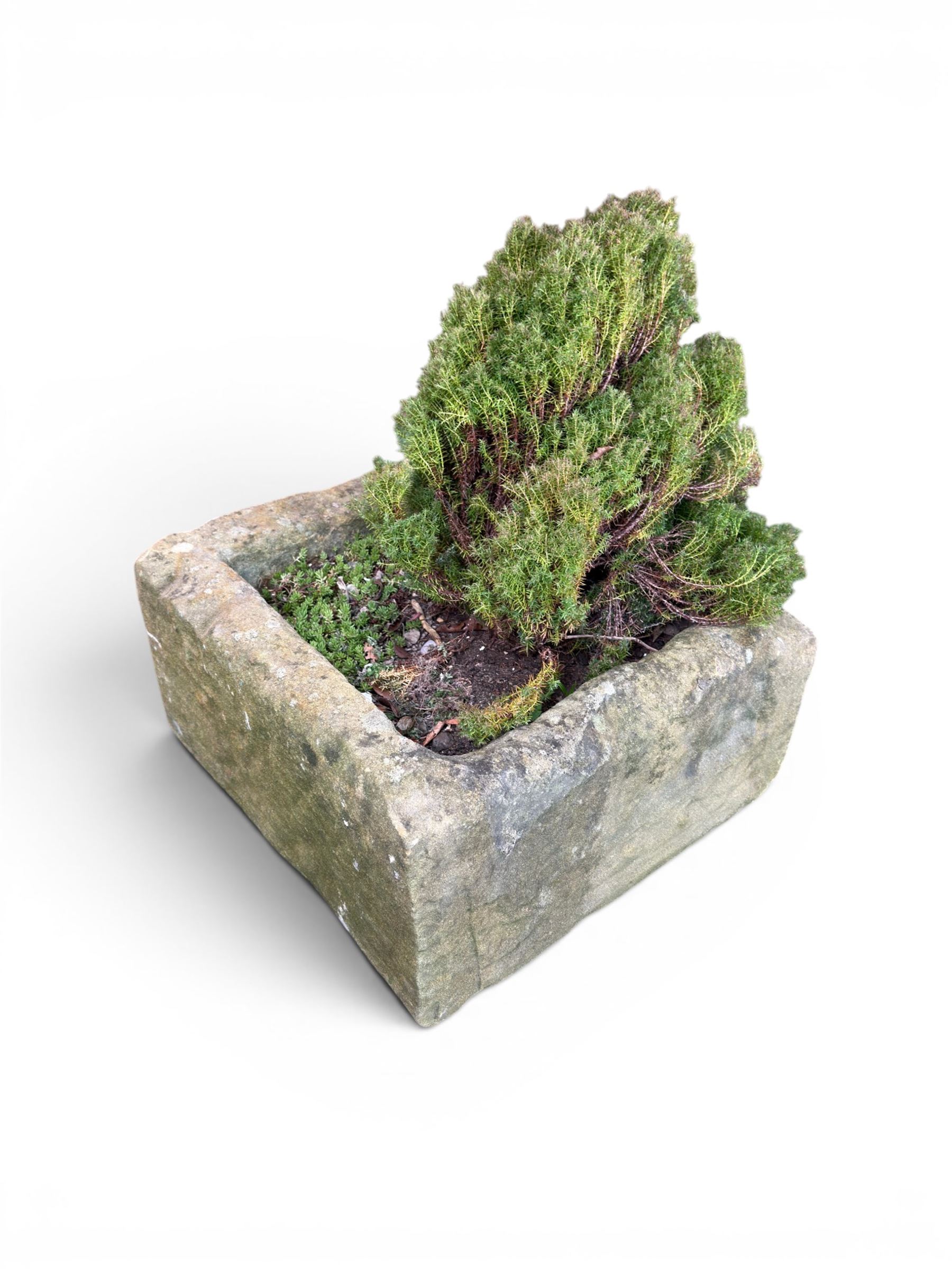 19th century hewn stone planter of square form, planted 