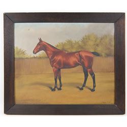 Charles F Davis (British 19th/20th Century): Horse Portraits, pair oils on canvas signed and dated '09 and '05, max 45cm x 55cm (2)