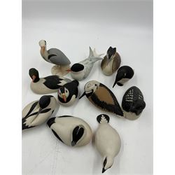 Group of eleven Scottish 'Isle of Arran' bisque porcelain birds, to include Great Northern Diver, Eider, great Crested Greebe, Artic Tern, King Penguin, etc.

