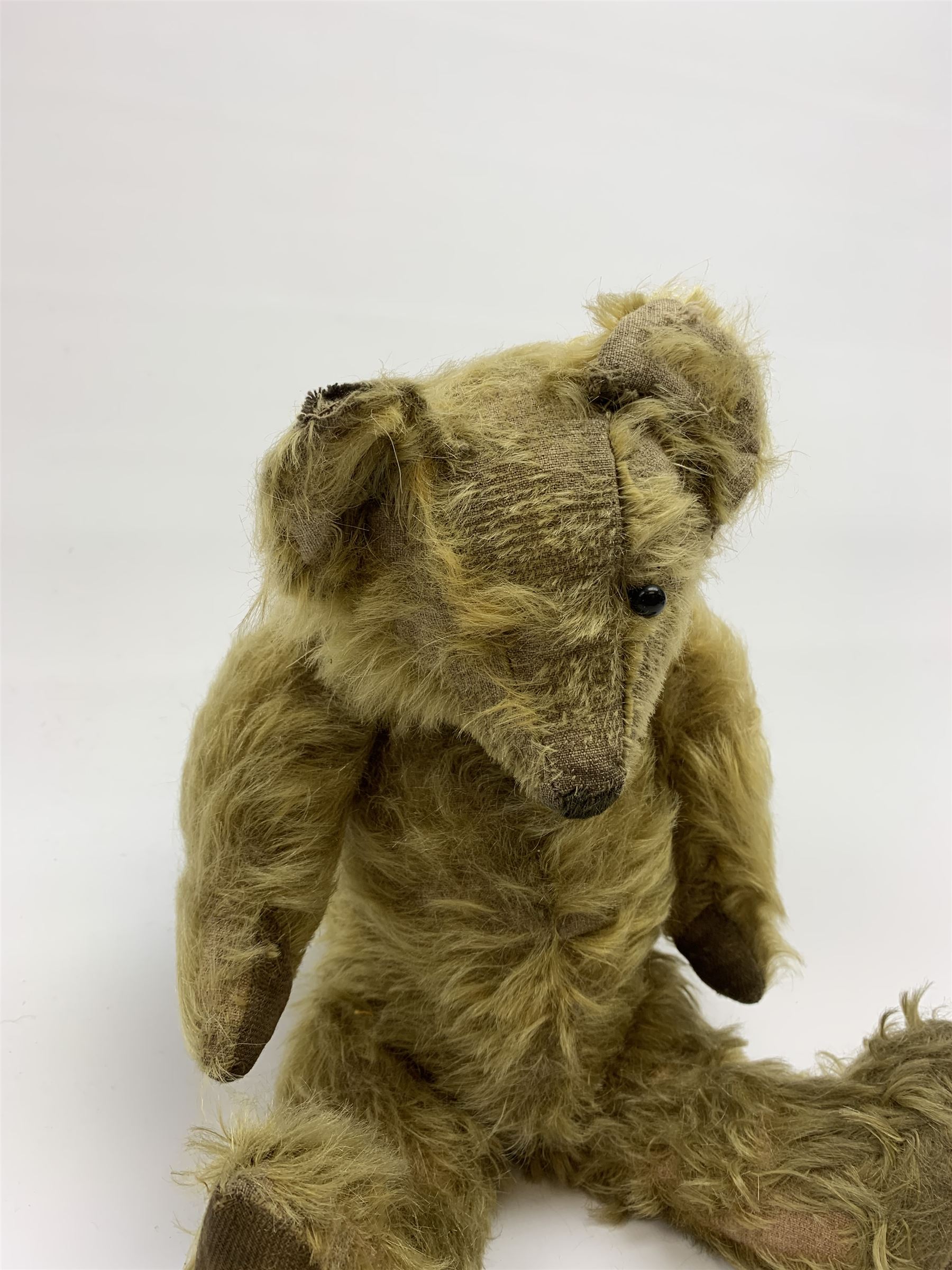 Early 20th century English teddy bear, WW1 period, with wood wool filled mohair body, fixed head with one boot button eye and vertically stitched nose and mouth and jointed limbs with cloth paw pads H16