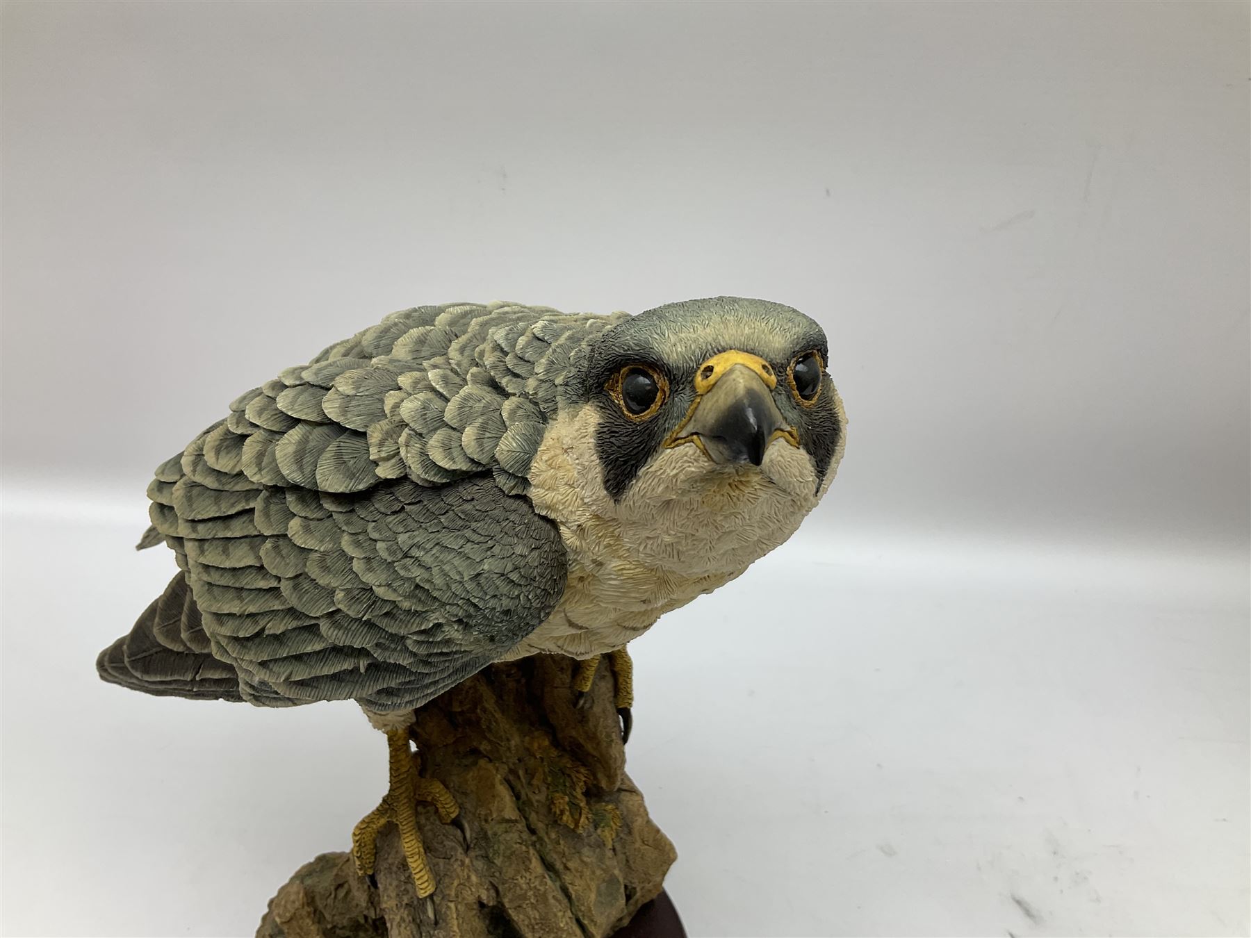 Country Artists figure of a peregrine falcon ' Lord of the Skies ' by David Ivey, limited edition, H44cm, together with two Sherratt and Simpson figures, both of peregrine falcons perched on branches. 