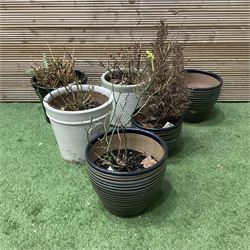 Set of six garden planter pots  - THIS LOT IS TO BE COLLECTED BY APPOINTMENT FROM DUGGLEBY STORAGE, GREAT HILL, EASTFIELD, SCARBOROUGH, YO11 3TX