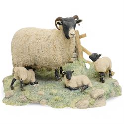  Border Fine Arts 'Coming Home' by Judy Boyt, another 'Texel Ewe and Lambs' by Ray Ayres 729/850 and 'Spring Lambing' by Ray Ayres from the James Herriot collection (3) 