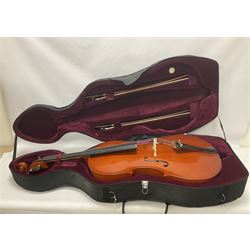 Gear 4 Music full size cello with a maple back and ribs and spruce top, ebony fittings and fingerboard, with two bows in hard case Length 123cm