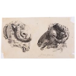 After Karel Dujardin (Dutch 1626-1678): Study of Ram's Heads, restrike etching 10cm x17cm (unframed)