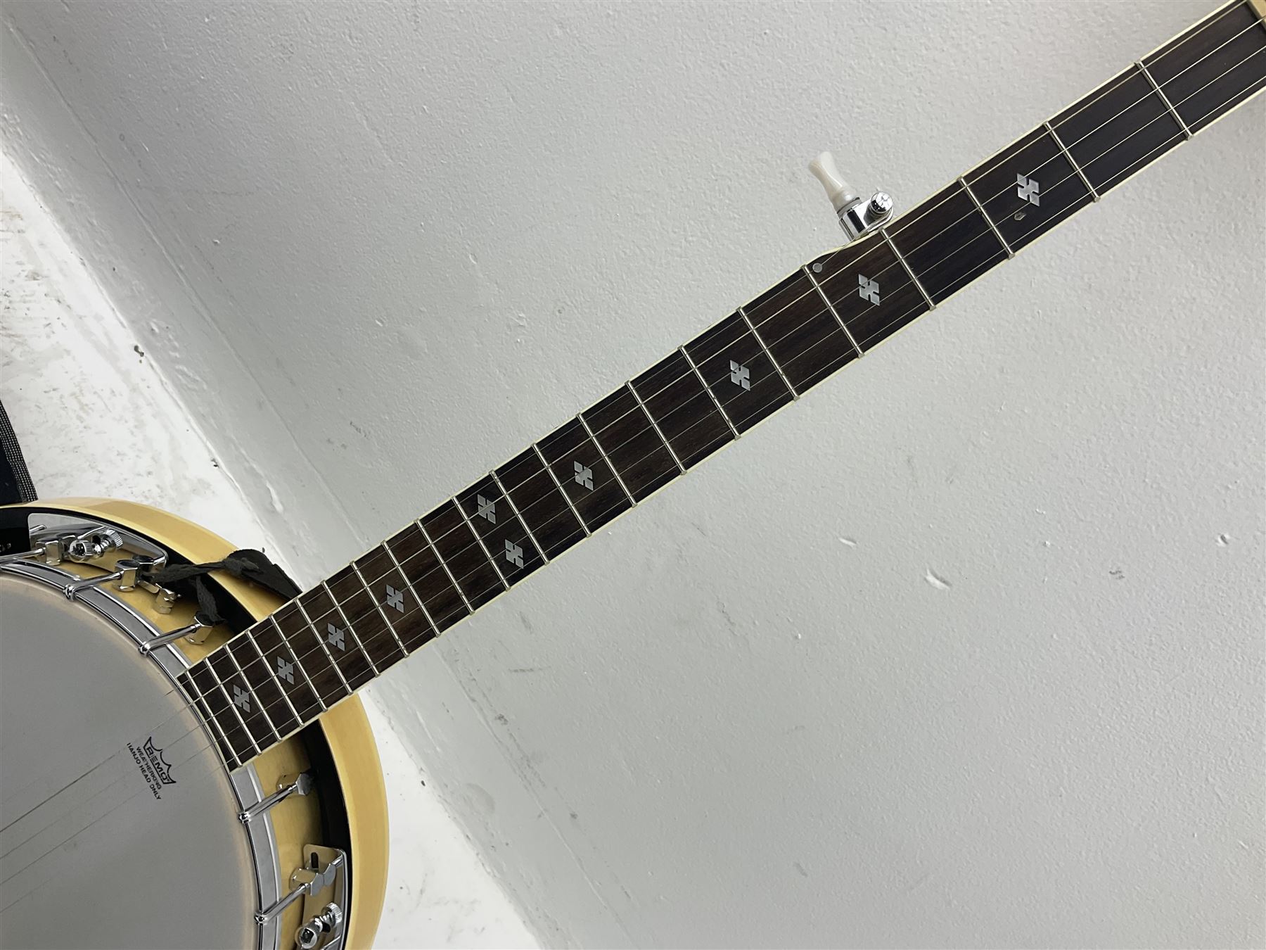 Tanglewood union series banjo hotsell