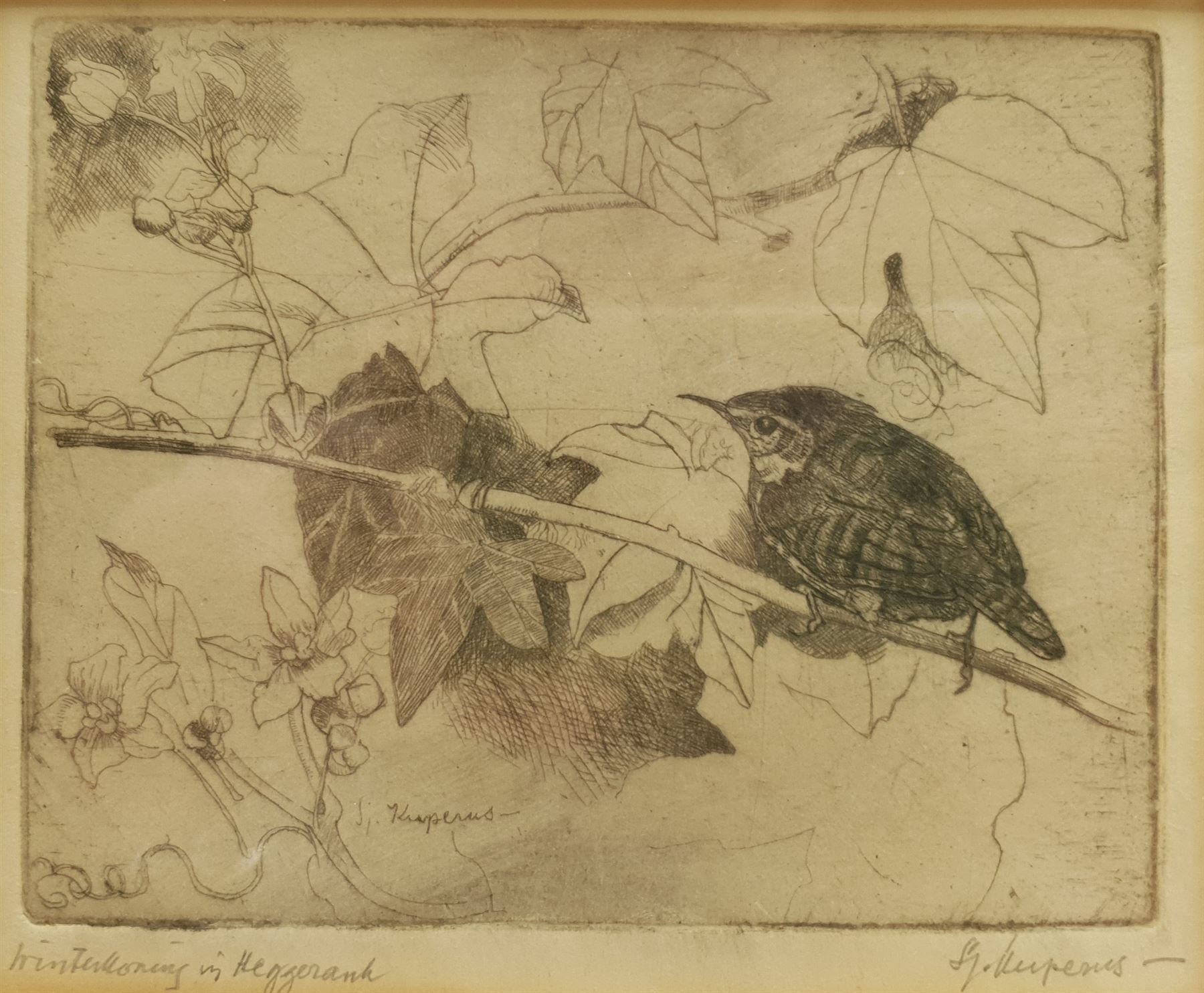 Sjoerd Kuperus (Dutch 1893-1988): Bird Studies, pair etchings signed and titled in pencil 10cm x 12cm and 11cm x 13cm (2)