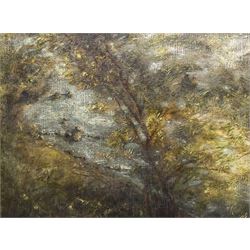 English School (Early 20th century): Wooded River Bank, oil on canvas laid on board unsigned 31cm x 41cm