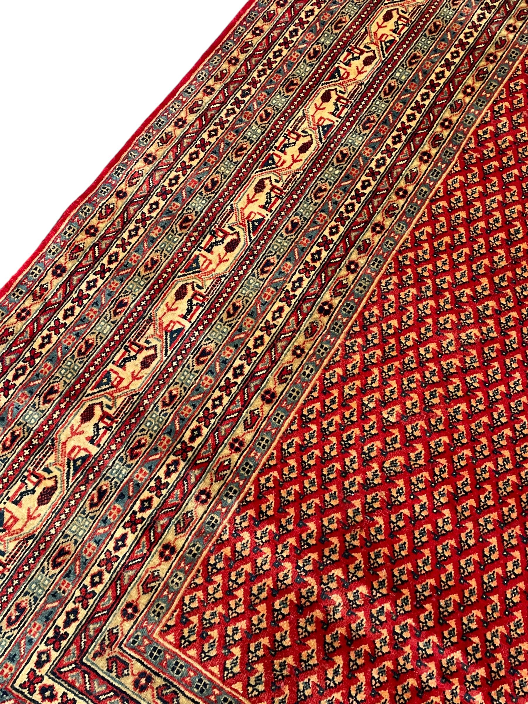 Persian Arak crimson ground carpet, the field decorated profusely with small repeating Boteh motifs, enclosed by multiple border bands decorated with repeating geometric and hook motifs