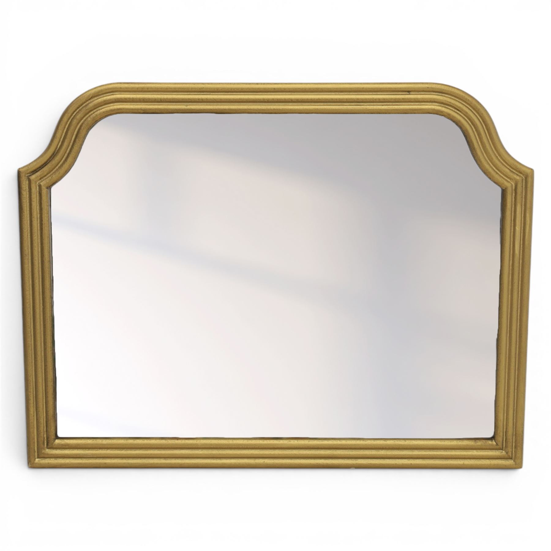 Botanical design wall mirror, the mirror plate decorated with printed botanical motifs and enclosed by a moulded frame