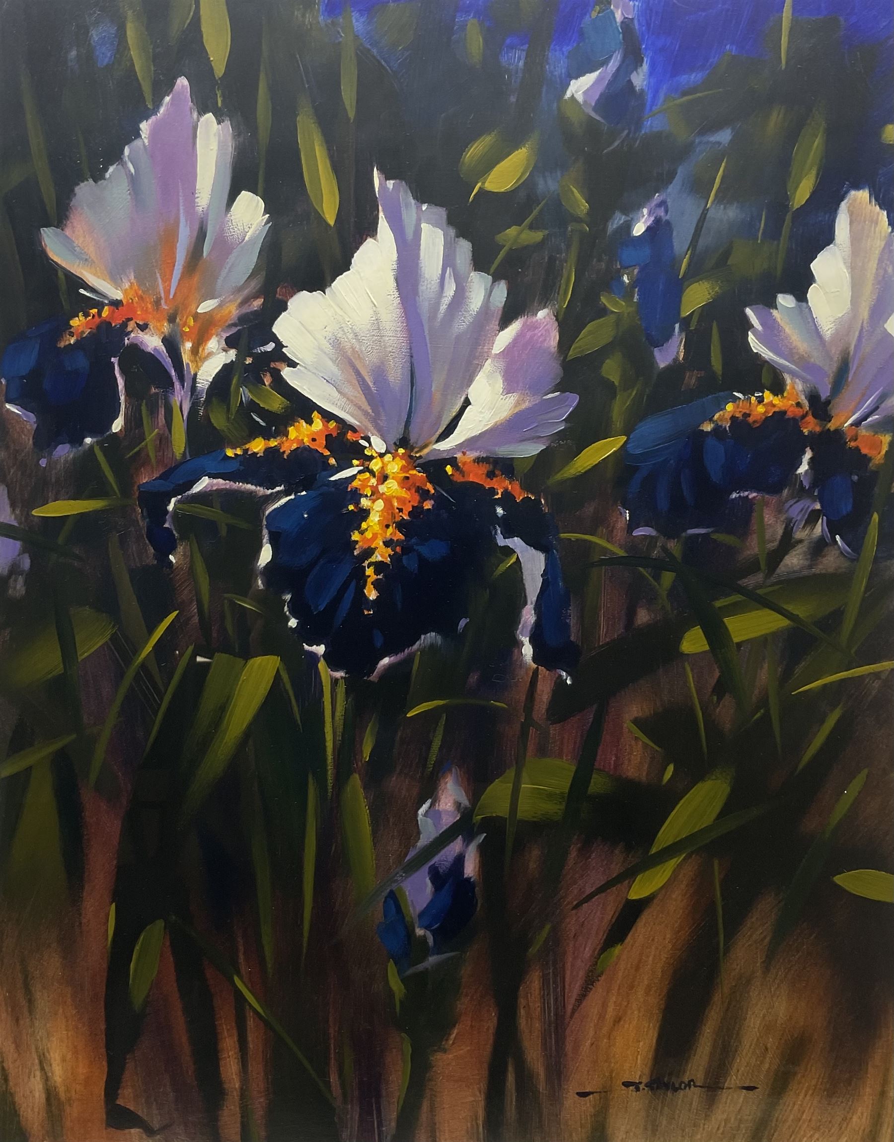 Jeremy Taylor (British 1957-): Floral Still Life, oil on board signed 47cm x 37cm 