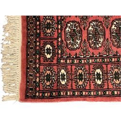 Small peach ground Bokhara rug, decorated with two rows of Gul motifs 