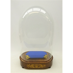  Victorian glass clock dome with rosewood marquetry inlaid oval stand on shaped feet, H48cm   