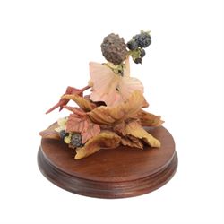 Nine Border Fine Arts Fairies figures, to include Jasmine fairy B0415, The White Bindweed Fairy CF26, Holly Fairy B0417,Wild Cherry Fairy CF25, Strawberry Fairy B0115, The Wind-Flower Fairy B0847, and Narcissus Flower Fairy CF24