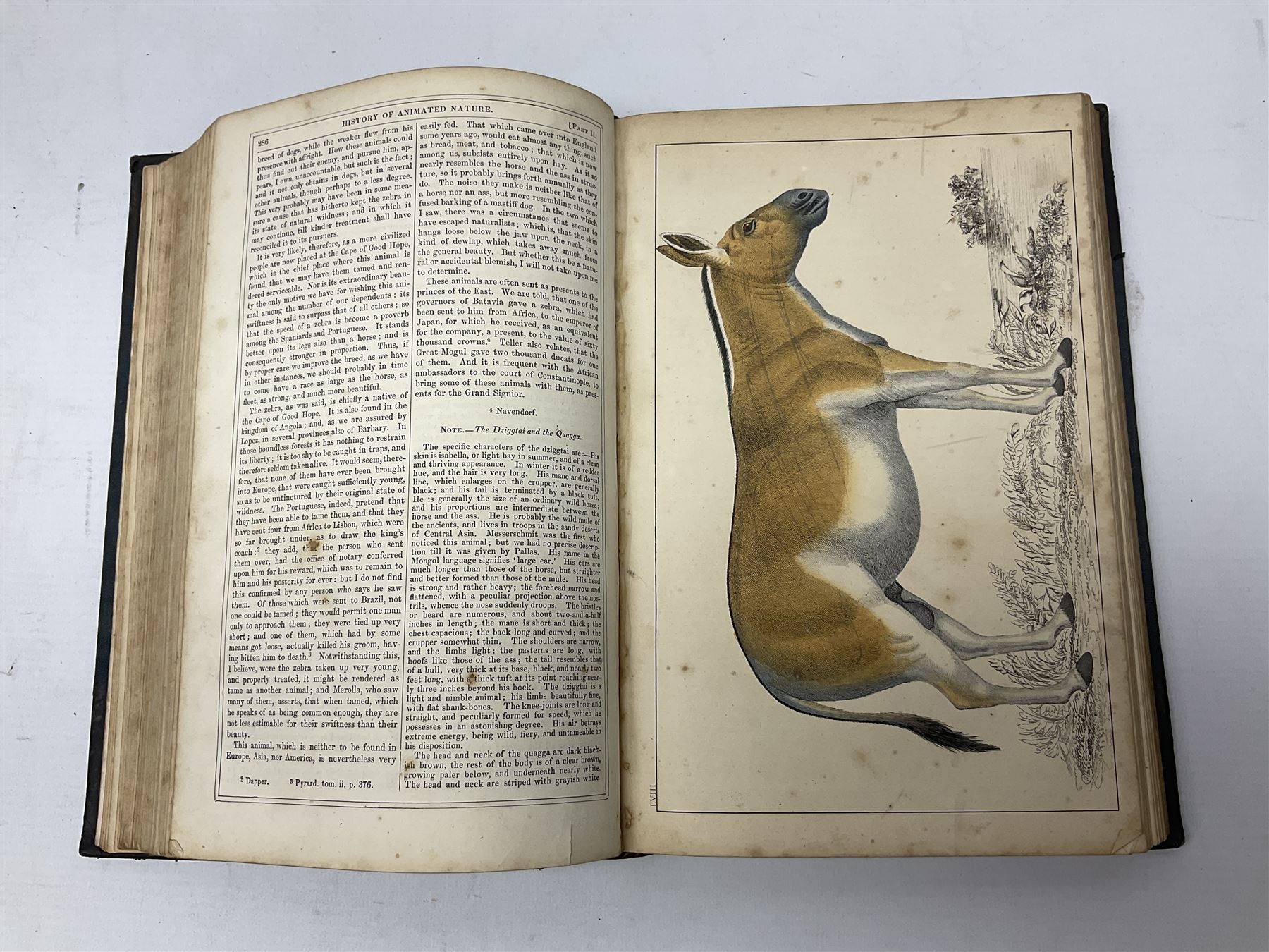 Goldsmith, Oliver; A History of the Earth and Animated Nature, 2 volumes, pub. Fullarton, Edinburgh and London, illustrated with coloured plates, cloth and leather bound with marbled edges (2)