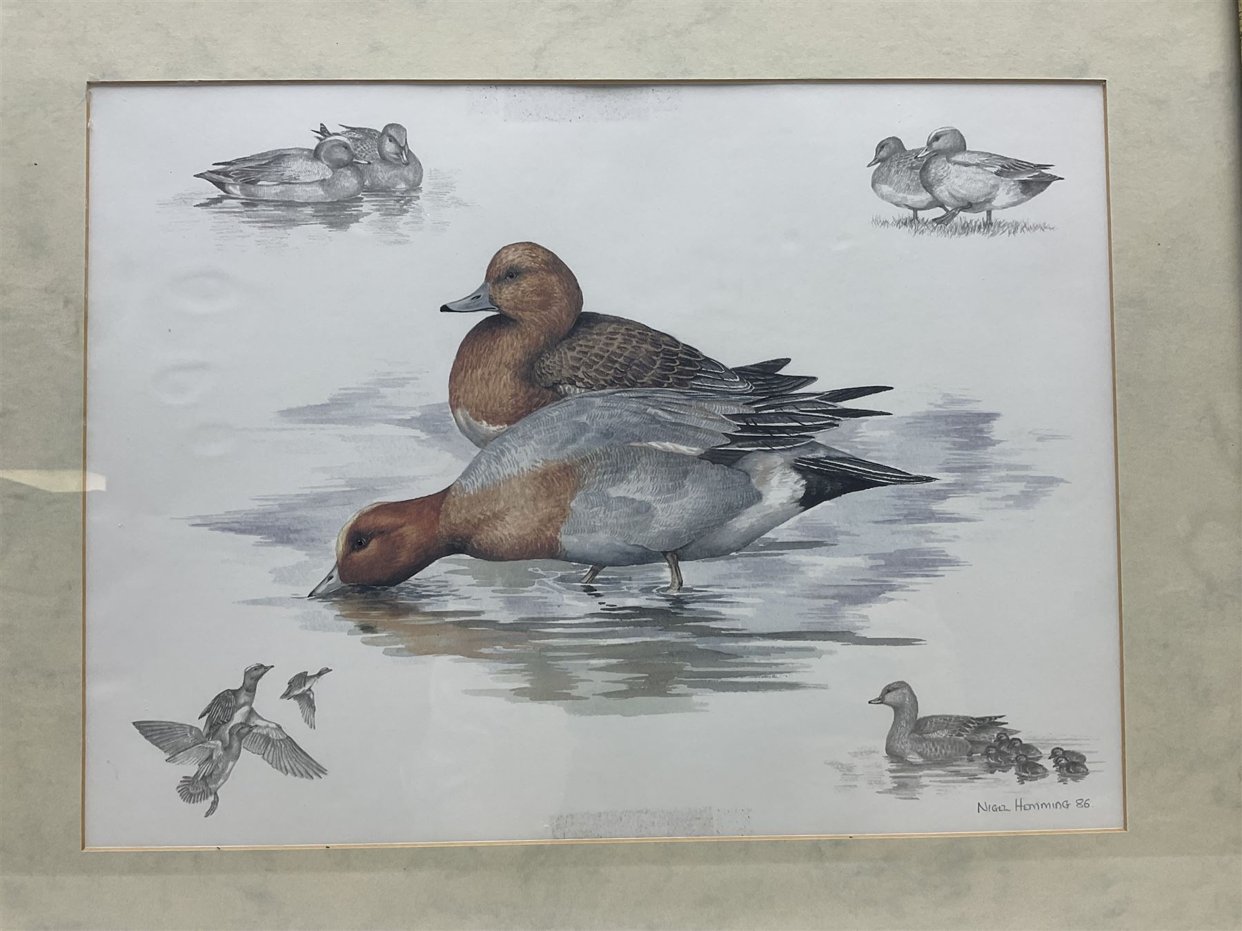 After Alan Ellison, limited edition colour print 'Working Springers' no.178/750 signed on the mount 43 x 59cm; and seven colour prints after Nigel Hemming of game birds and gun dogs; all framed (8)