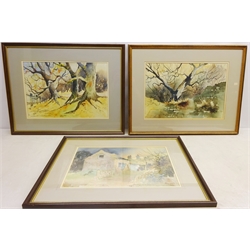  Graham Duckmanton (British 20th century): 'Autumn Trees', 'One More Victim' and Old Barn, three watercolours signed, titled on artists label verso 31.5cm x 46cm (3)  