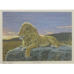  'Lion King' 'Morning Graze', 'Cheetah' and 'Leopards Lair', five limited edition colour prints signed in pencil by Stephen Gayford and one other print after the same hand max 27cm x 40cm (6)  