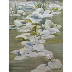Richard Edward Clarke (British 1878-1954): Waterlilies, watercolour signed 53cm x 40cm